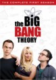 the big bang the theory 1 temporada